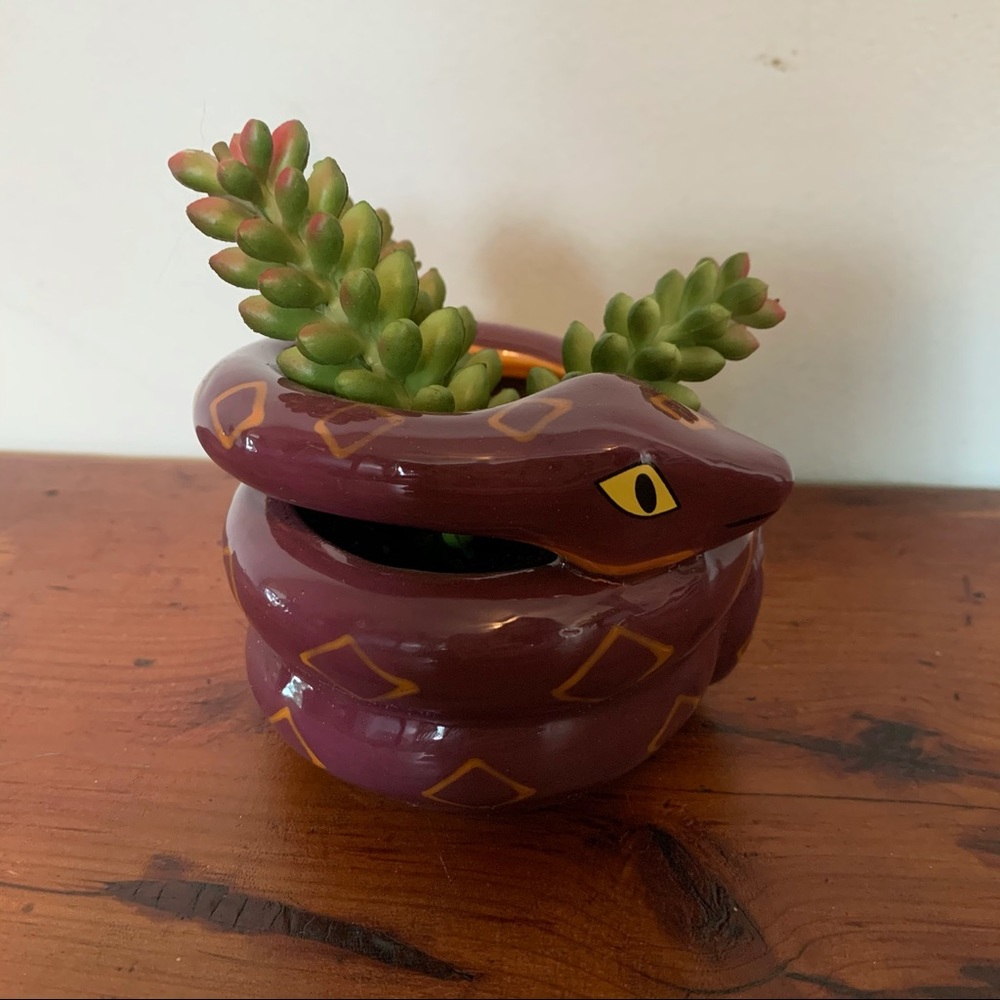 NIB Target Halloween Snake Succulent Planter